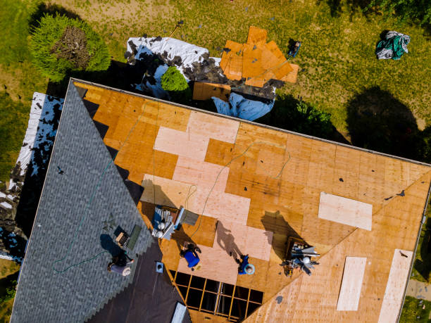 Roof Gutter Cleaning in East Renton Highlands, WA